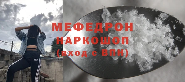 амф Ельня